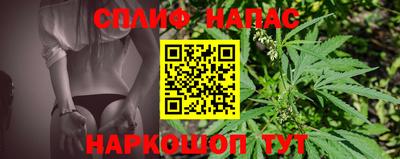 амф Новокубанск