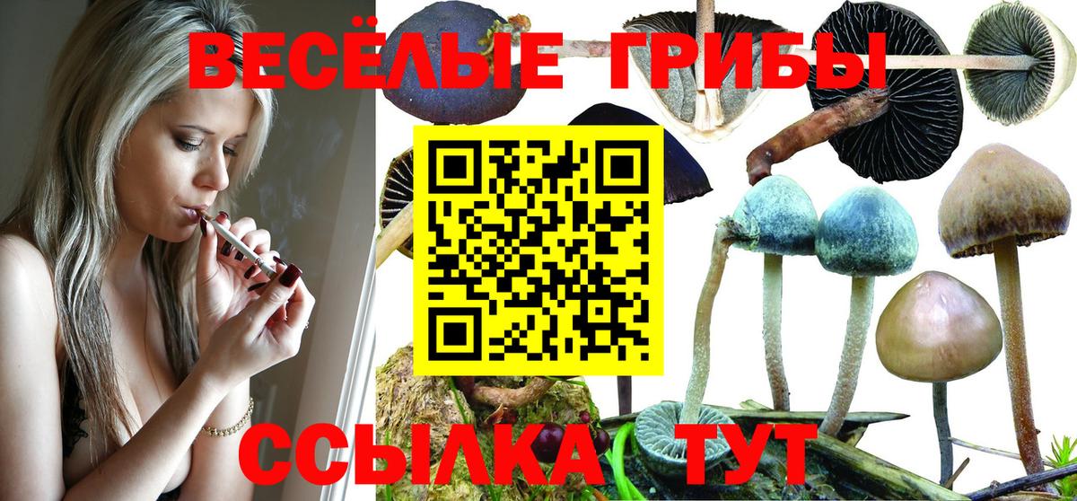 Феодосия  Галлюциногенные грибы Psilocybine cubensis  Вход с VPN 